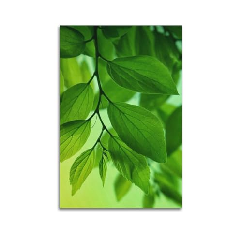 Papier peint artistique feuille verte ZHOUKEG 60x90 cm