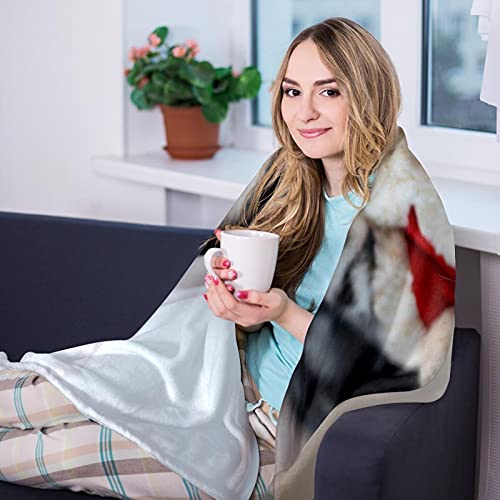 Couverture chaude chat de Noël plaid isolant idéal pique-nique et lit - 8