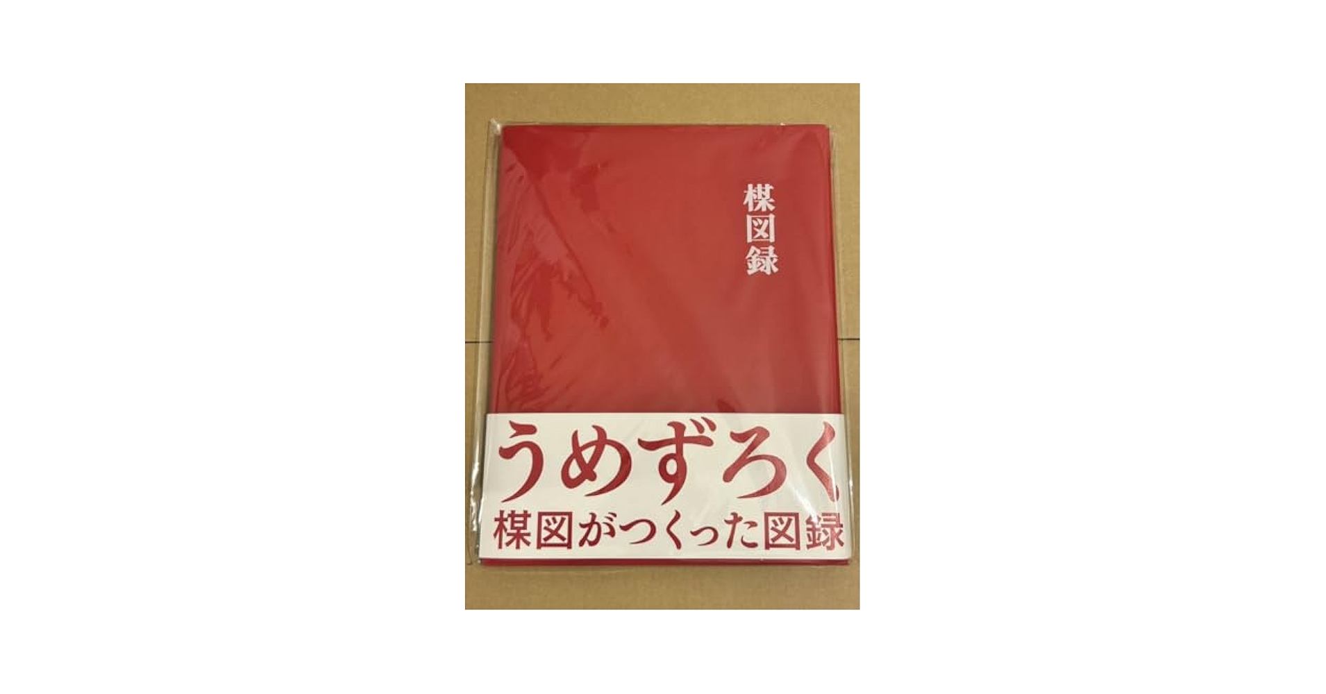 Amazon.co.jp: 楳図かずお 大美術展 うめずろく チラシ付 会場