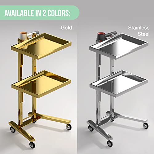 Multifunctional 2-Tray Utility Cart on Wheels - Gold 2-Level Medical Trolley Cart - Mobile Storage Tray Cart for Dental Tools, Cavitation Machine, Salon Supplies - Brass Foldable Storage Trays - Thumbnail 6