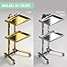 Multifunctional 2-Tray Utility Cart on Wheels - Stainless Steel 2-Level Medical Trolley - Mobile Storage for Dental Tools, Cavitation Machine, Salon Supplies - Foldable Trays