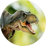 Tortenaufleger Dinosaurier8 / 20 cm Ø