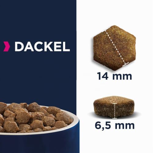 Eukanuba Breed Specific Dackel Trockenfutter, 2,5 kg