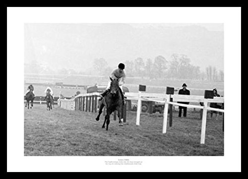 Home Of Legends Black,Gold Framed Arkle 1966 Cheltenham Horse Racing Photo Memorabilia