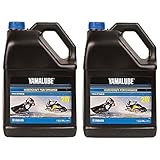 Yamaha Yamalube 2W 2-Stroke Waverunner Performance Oil - 2 Gallons of LUB-2STRK-W1-04