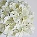 ZYTUYO 20 inches 4 Pcs Ivory White Real Touch Hydrangea Artificial Flowers Boho Lifelike Real Looking Latex Hydrangeas Flower with Long Stem for Home Decor Spring Table Centrepiece