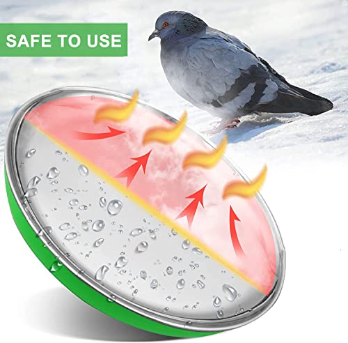 Suveus Chicken Water Heater, 45W Heated Poultry Waterer With Thermostat, Chicken Coop Heater For Plastic/Metal Poultry Waterer(8.3 X 8.3 Inches), Green (Cw38) #TOP1