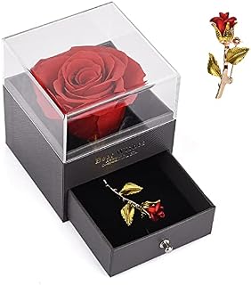 Eternal Rose Preserved Flower with Rose Brooch Gift Box, Handmade Real Rose Romantic Birthday Presents for Her Mum Girlfriend Gramma on Valentine's Day Mother's Day Wedding Anniversary Christmas - Red