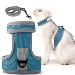Dotoner Cat Harness and Leash Set Cats Escape Proof Kitten Harness and lead set Adjustable Cat Harness for Large Small Cats Lightweight Soft Walking Travel Petsafe Harness