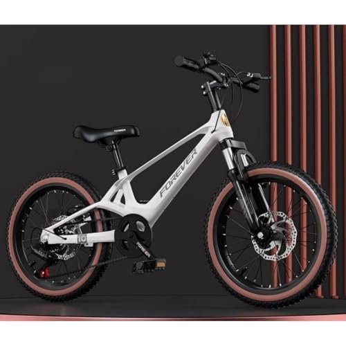 TImDu�q���p���]�ԁA18/20/22�C���`�A�Ռ��z�����]�ԁA�ω׏d100kg ���y�ʁA�}�O�l�V�E���������}�E���e���o�C�N�A�j�̎q�A���̎q�A���w���A���w���ɓK���Ă���A�X����ʋ΂ɂ����g�����������܂� (���[�����C�g�z���C�g + �σM�A + �X�|�[�N