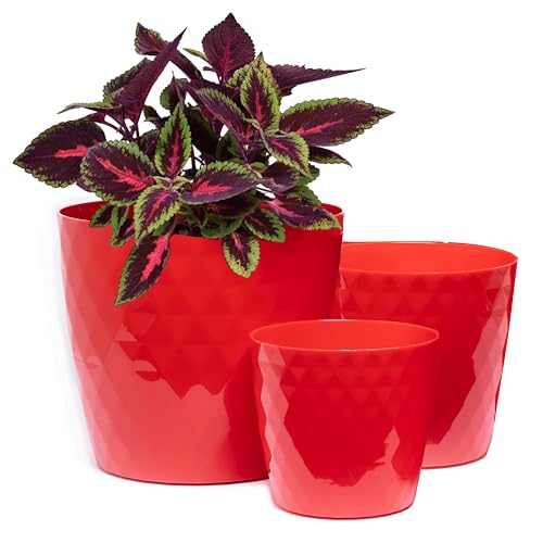 Home Garden Ornaments Maceta Rojo Juego de 3 Tamaños 14/16/18 cm - Macetas Plastico con Superficie de Cristal Brillante - Maceteros Exterior - Decorativa Macetero Interior (Rojo)
