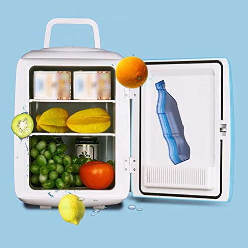 Xyanzi Mini Fridge Compact Refrigerator,15L Mini Fridge for Car for Car