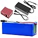 TGHY 36V 10Ah Lithium Akkupack für 800W E-Bike Motor 10000mAh Li-Ion Akku mit BMS und 42V Ladegerät für Elektroroller Elektro-Gokart 18650 Zellen,T