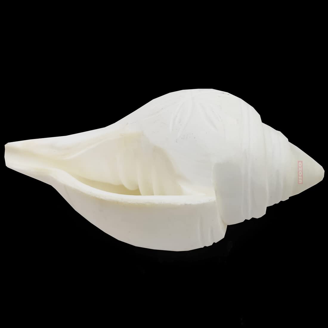 Original Pure Natural Traditional Jal Shankh con supporto per puja, dimensioni 11,5 cm
