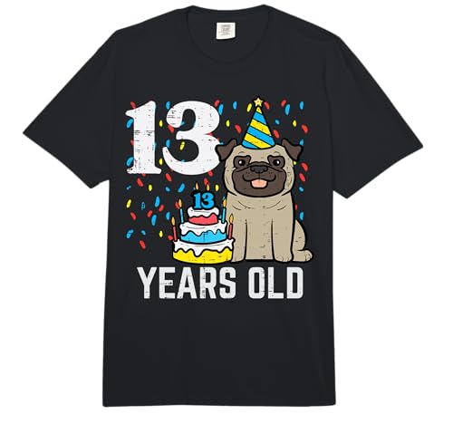 13th Birthday Dog Pug Cake 13 Years Old Bday Boys