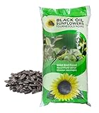 CountryMax Backyard Seeds Black Oil Sunflower for Outdoor Wild Bird Feeding (25 Pounds)
