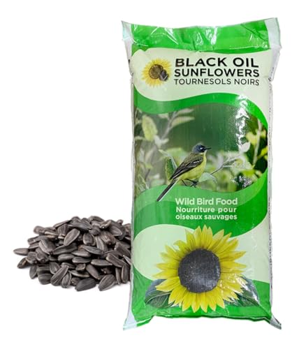 CountryMax Backyard Seeds Black Oil Sunflower for Outdoor Wild Bird Feeding (25 Pounds)