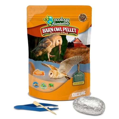 Image of Barn Owl Pellets for Dissection for Classrooms, Large 5-Pack Kit by OBDK | Forceps, picks and instructor guide included, life science and ecology, bone sorting chart, hands-on lab activity