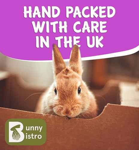 Bunny Bistro Flaked Peas 1kg | Natural Dried Pea Flakes for Guinea Pigs, Rabbit, Small Animal Treat, Healthy Forage for Small Pets - Image 6