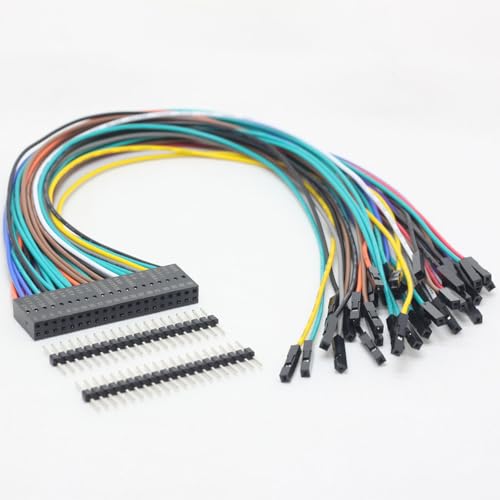 Câble d'extension GPIO 40 broches femelle Dupont de 300 mm coloré pour Raspberry Pi