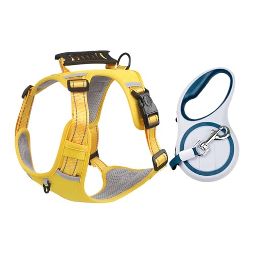 ���p�n�[�l�X,�E���h�~ ���K�x�X�g ���߉\�`�F�X�g�X�g���b�v - �q���p�U���n�[�[�l�X,�Ƒ��E�F�l�ƃy�b�g�̂��߂� ���O�E�K�[�f���E�� ���^�E���^�� �q���p