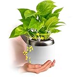 PLANTPETZ Large Robotic Planter – Smart Planter Fits 4 Inch Pots | Bluetooth Speaker | Interactive Smart Plant Pot Turns A Real Plant Into a Touch/Motion Responsive Companion - Pure Ivory White