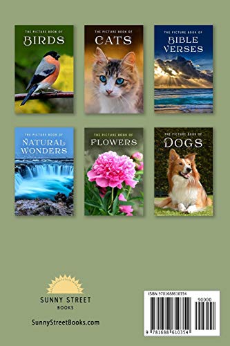 image for Independently Published The Picture Book of Quilting: A Gift Book for 