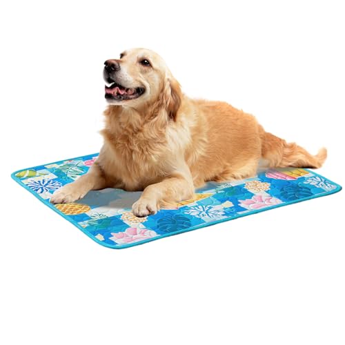Siuwddee Kühlmatte Für Hunde Katzen,60x50 cm Selbst Kühlende Hundematte Frischematte Für Hunde Und Katzen Sommer Kühlkissen Hundematte,Falbar rutschfest Dog Cooling Mat Für Zuhause Unterwegs