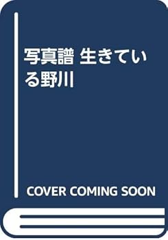 JP Oversized ??? ??????? Book