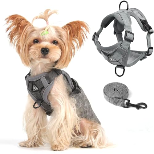 Chaleco reflectante para gatos transpirable y ajustable con correa de paseo 2