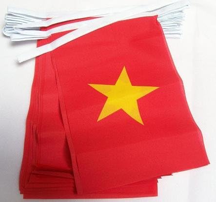 AZ FLAG - Vietnam Bunting Flag - 13 Ft Garland with 20 Small Vietnamese Flags 6'' x 4'' - 100% Polyester String Pennant - 4 meters