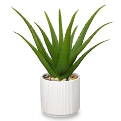Green Aloe-13"