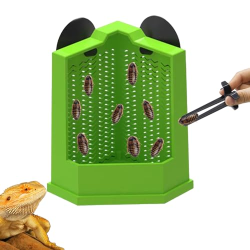 JWIZYOTR Chameleon Feeder Bearded Dragon Feeder Box Reptile Feeder Cricket Feeder with Suction Cup, Wall Mounted Insect Feeder, Tank Accessories for Lizard, Iguana, Gecko, Frog (Medium)
