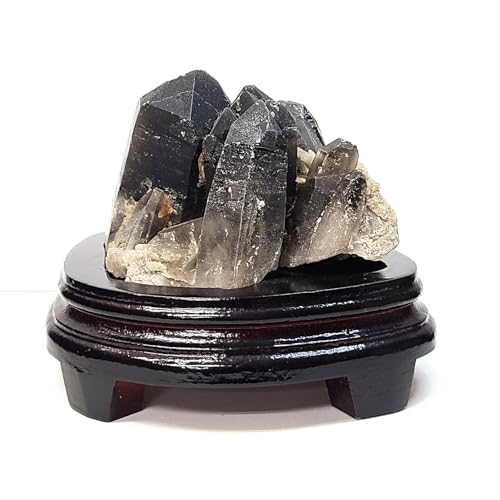 I   919g t ̔ NX^[ VR  { u  u  p[Xg[ ObY   