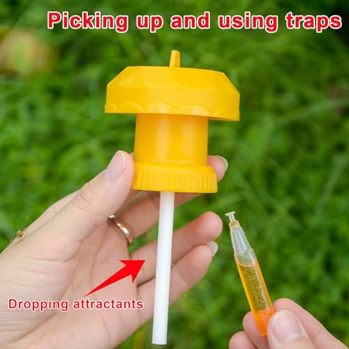 Coletor de moscas ao ar livre, armadilhas para moscas reutilizáveis ​​ao ar livre, Tampa da armadilh