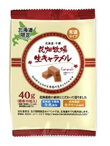 花畑牧場 生キャラメル 常温タイプ プレーン 40g×10袋