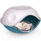 Cat Centre
