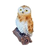 ⋊Résistant aux intempéries et aux UV : fabriqué avec un matériau en résine synthétique respectueux de l'environnement peint à la main, le décor de hibou est imperméable, résistant aux UV et ne se décolore pas facilement.