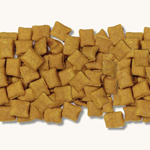 beaphar VIT Bits - Für Katzen - Zur Unterstützung der täglichen Vitaminversorgung - Katzensnacks - 1er Pack (1 x 150 g)