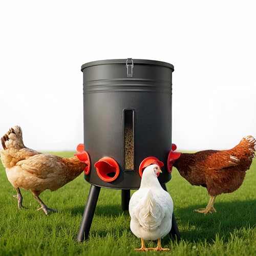 KOL 50 LB Large Free Standing Chicken Feeder, Portable Gravity Chicken Feeder Automatic, Dispenser, 8 Feeding Ports Poultry Feeder for Chicken Rooster & Hen (Black)