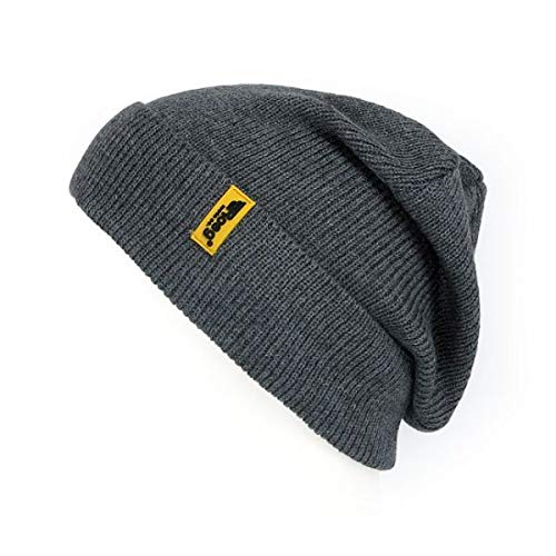 Roeg Joe Beanies Bonnet d'hiver Gris Cover
