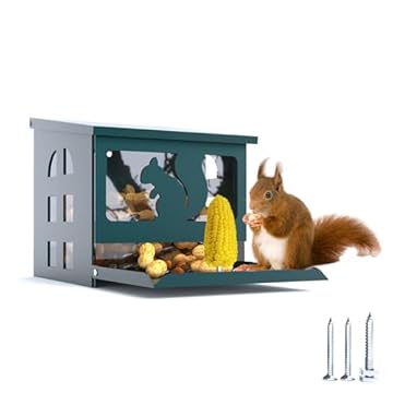 squirrel feeder alternative