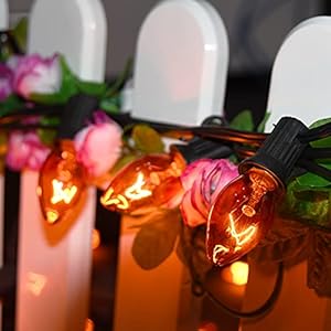 25 Pack C7 Orange Halloween Light Bulbs, Clear Replacement E12 Candelabra Base Bulbs for Christmas Outdoor String Lights Candles, Night Lights 5W 120V 25 Pack C7 Orange Halloween Light Bulbs Clear Replacement E12 Candelabra Base Bulbs for Christmas Outdoor String Lights Candles Night Lights 5W 120V
