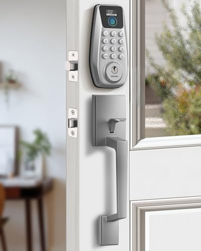 DESLOC C110 Keyless Entry Door Lock with Display