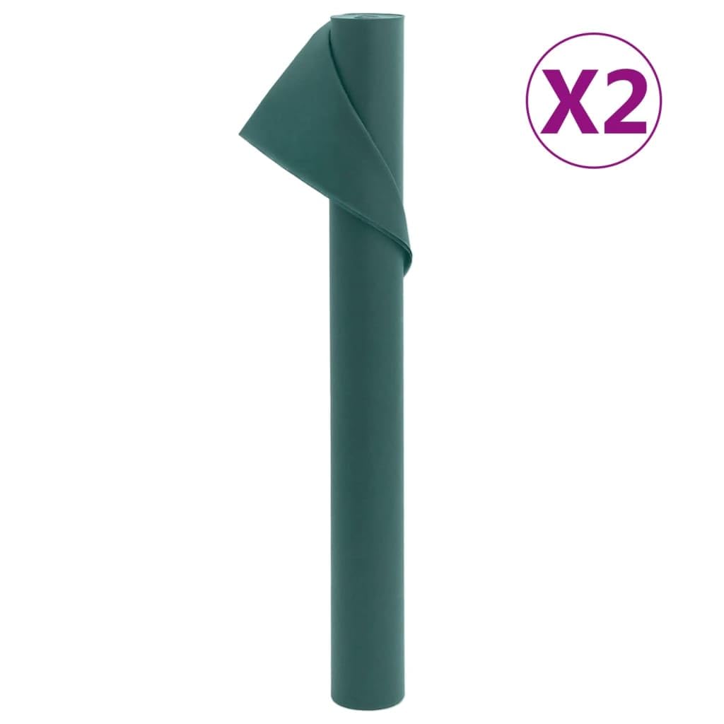 2 rotoli di tessuto non tessuto invernale da 70 g/m², 10 x 1,6 m, verde, protezione antigelo per piante da giardino, verdure, fiori, frutta, protezione dal freddo e dal gelo, traspirante