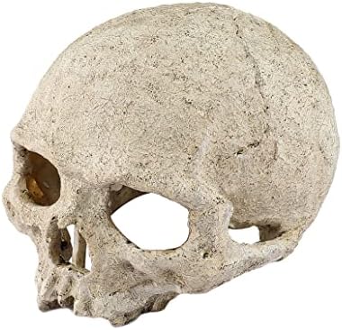 Half Skull 爬行动物两栖动物栖息地隐藏 – 优质无毒树脂水族箱和玻璃容器 – 大号