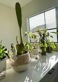 NOONOOJOOJOO Corn Husk Handwoven White Indoor Planter Waterproof Basket, Storage Basket Perfect for Plants, Toys, Shoes, Towel Baskets for Bathroom, Organize Vegetable Fruit for Kitchen