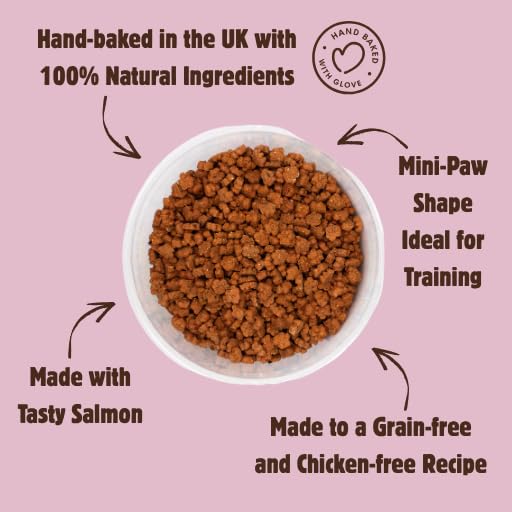 Betty Miller Grain Free Dog Treats - Mini Salmon & Dill Paws - British Baked Dog Biscuits - Ideal Dog Treats for Small Dogs - Image 2