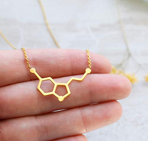 Altitude Boutique Simple Happiness Serotonin Molecule Necklace, Serotonin Neurotransmitter Necklace, Science Jewelry for Science Lovers (Silver, Gold, Rose Gold)2