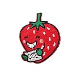 Cute-Patch Cute Strawberry Mini Embroided Iron on Patch sew on Applique Fruit Food Patches Small Siz